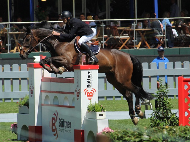 風格也成為 風格也成為