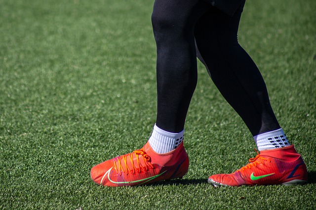 詹姆斯和戴 詹姆斯和戴