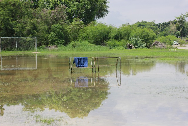 体育器材 体育器材