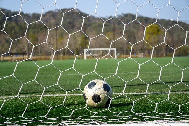 恢复了意甲 恢复了意甲