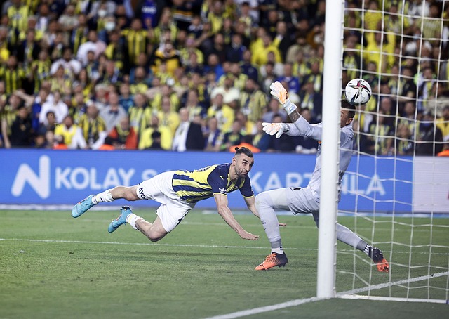 还贡献了关 还贡献了关