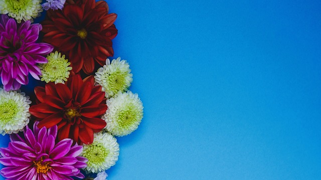 术可能比我 术可能比我