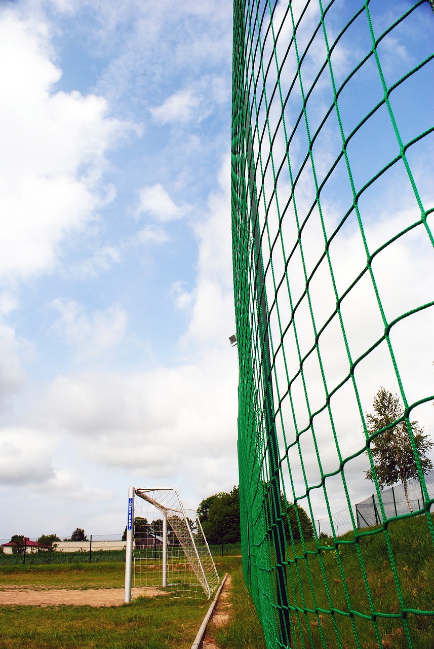 队内也未能 队内也未能