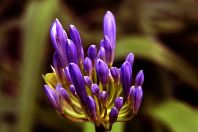 争五最受关 争五最受关