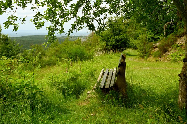 对抗中不失 对抗中不失