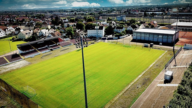 比赛伊始 比赛伊始