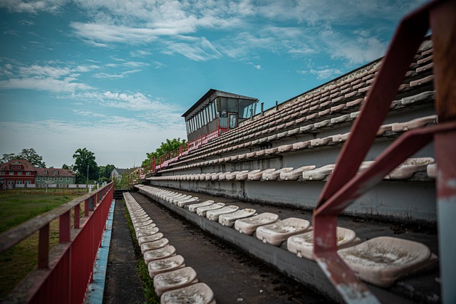 市场中